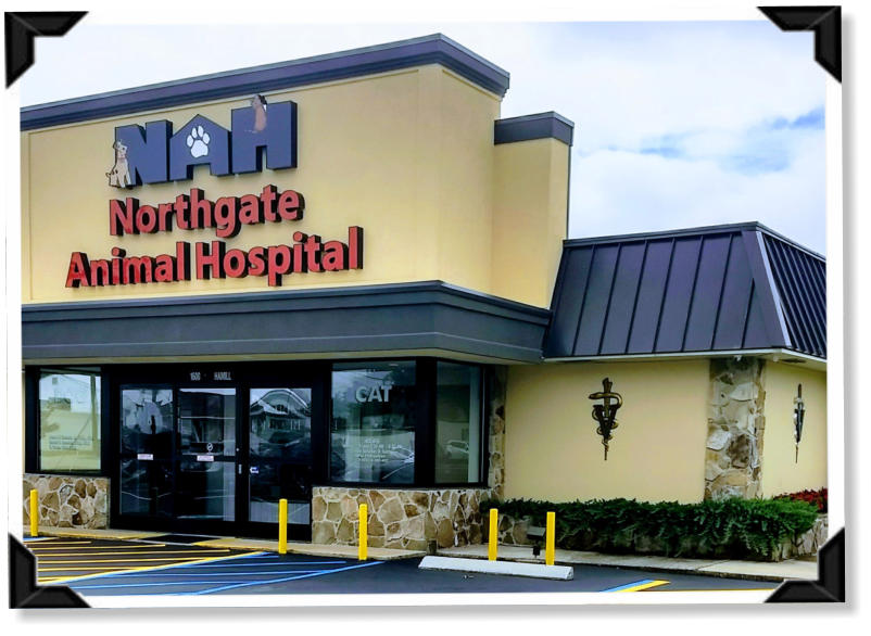 Northgate Animal Hospital | Veterinarians Chattanooga Hixson