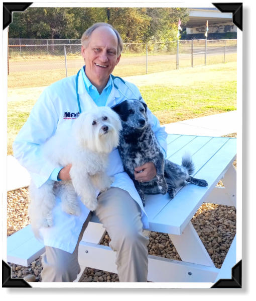 Chattanooga Veterinarians | Phone 423-875-9033 for Appointment