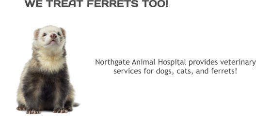 WE TREAT FERRETS TOO! Northgate Animal Hospital provides veterinary services for dogs, cats, and ferrets!